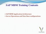 SAP MDM Training Videos
