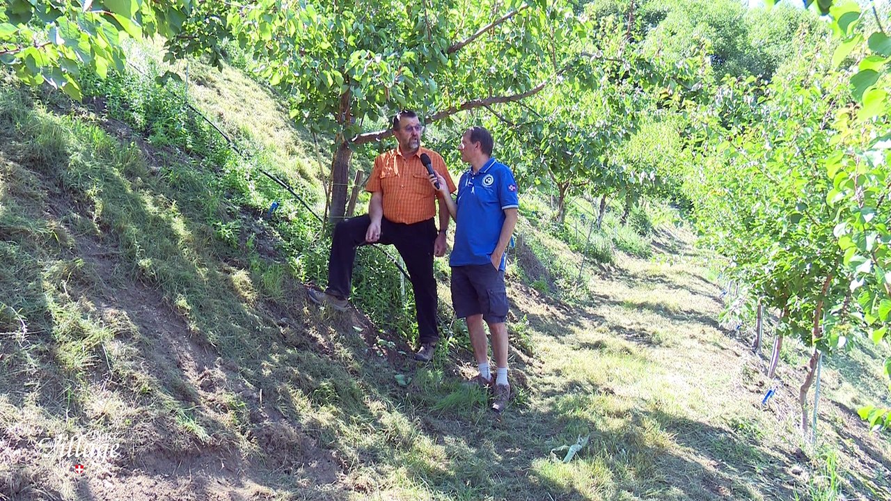 La Place du Village [S.1][E.115] - S1:E115 - Traditions entre Nendaz et Veysonnaz (Valais)