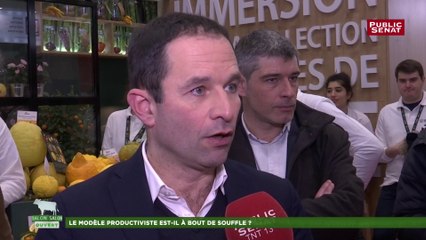 Alimentation : « On vit encore sous l’empire d’un double lobby », dénonce Benoît Hamon