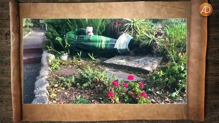 Wichtige Ereignisse und Zeichen der Zeit