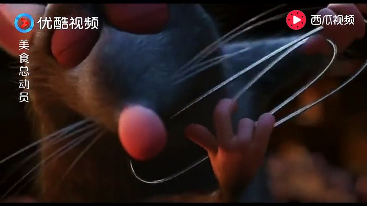 《美食总动员 Ratatouille》一只老鼠的家族有多庞大？密集恐惧症自动屏蔽