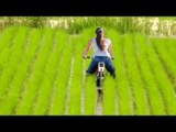 Amazing Farming Home Invention Machine & Innovation Agriculture Technology