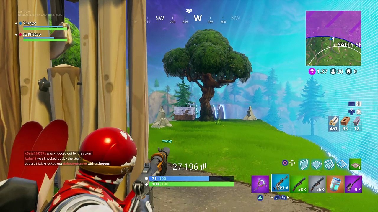 Fortnite_20180217004754