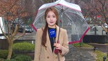 [날씨] 제주 호우경보, 부산 강풍주의보...전국 비바람 / YTN