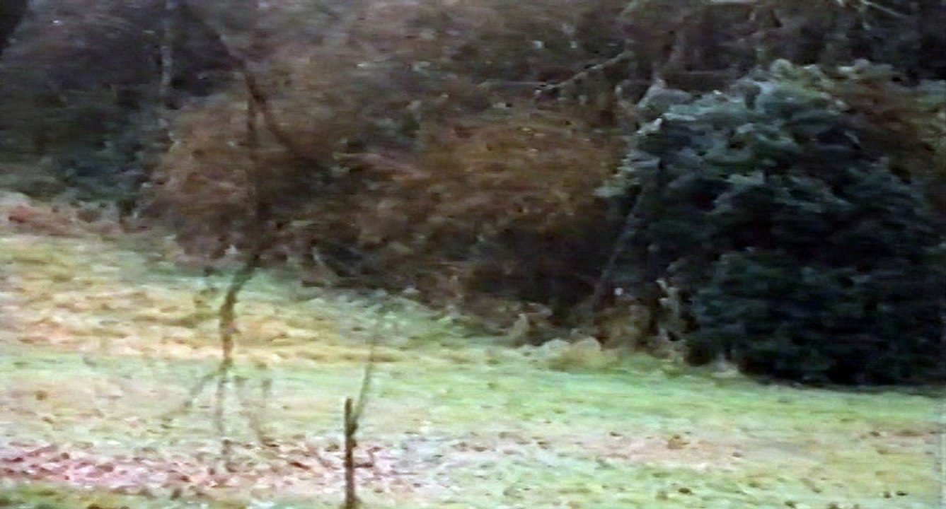 The Long Day's Dying (1968) - VHSRip - Rychlodabing