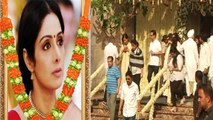 Sridevi : Bollywood celebs, fans and Family visit Celebration Sports club to pay last tribute