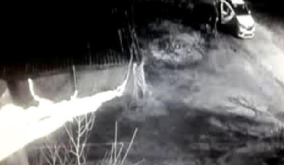 İstanbul'da hayvan hırsızlığı güvenlik kamerasında... Jandarmadan operasyon