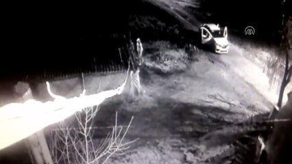 Hayvan hırsızlarına yönelik operasyon - İSTANBUL