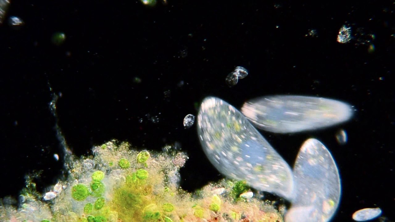 Wonders of Life: Expanding Universe (2 of 5)