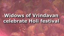 Widows of Vrindaran celebrate Holi