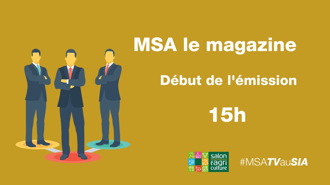 MSA Le magazine- bien etre a utravail