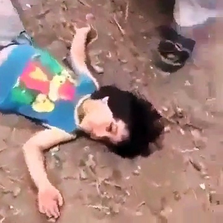 syria sham
