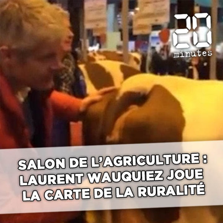 Salon de l'agriculture : Caresses, dégustations, tapes au cul des vaches  ... Wauquiez joue la carte de la ruralité