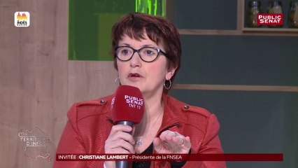 « Dans certaines communes, le loup est un danger public », affirme Christiane Lambert