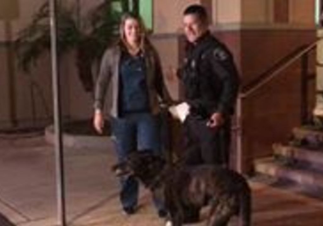 Police Dog Released From Hospital After Losing Teeth While Detaining Suspect