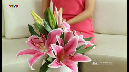 Thẩm mỹ vùng kín - Thu hẹp vùng kín - Làm hồng vùng kín 3 trong 1