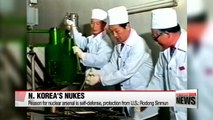 North Korea's nukes not aimed at South Korea