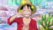 Luffy Realizes his Bounty has Been Raised English Dubbed