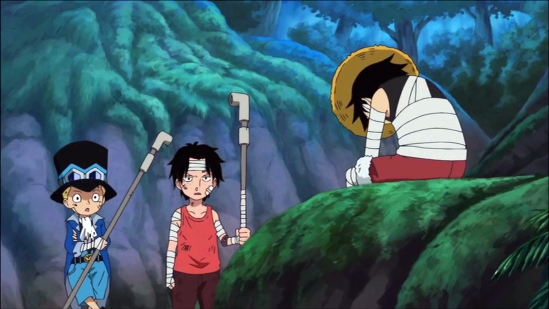 Casa do Otaku - Luffy usando o chapéu do Ace e do Sabo!