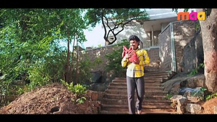 Best Heart Transplant Surgery