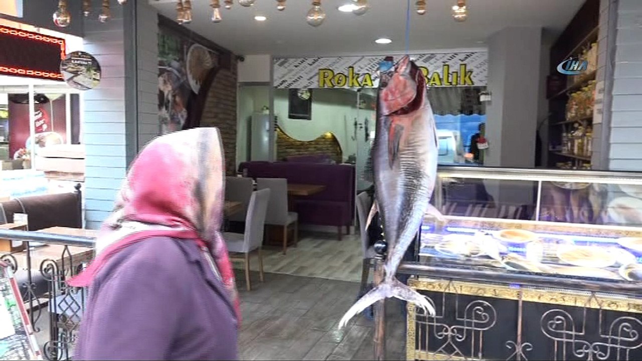 Dev orkinos, vatandaşların ilgi odağı oldu