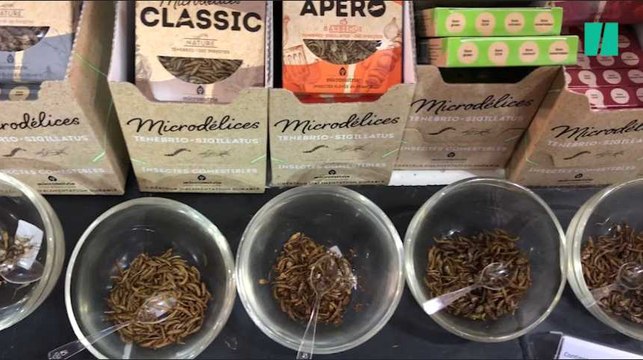Salon de l'agriculture 2018: C'est la première fois que les insectes sont invités, et cela signifie beaucoup pour notre alimentation future