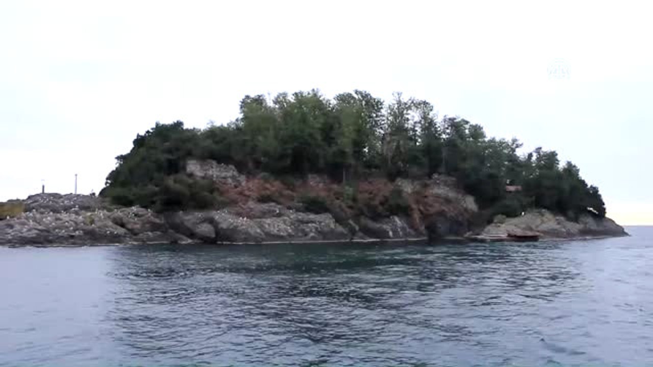 Yeni Kazılar Giresun Adası'nın Mitolojik Tarihine Işık Tutacak