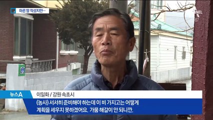 반가운 단비 내렸지만…가뭄 해갈 여전히 부족