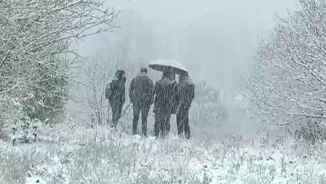 Los Mossos siguen rastreando terrenos del detenido de Susqueda en busca del arma del crimen