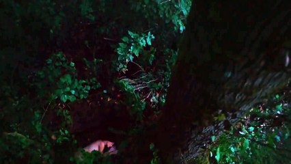 Siren (Freeform) _Be Careful_ Promo HD