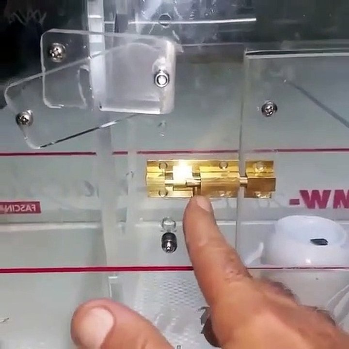 Ce perroquet ouvre une boite avec une combinaison très complexe !