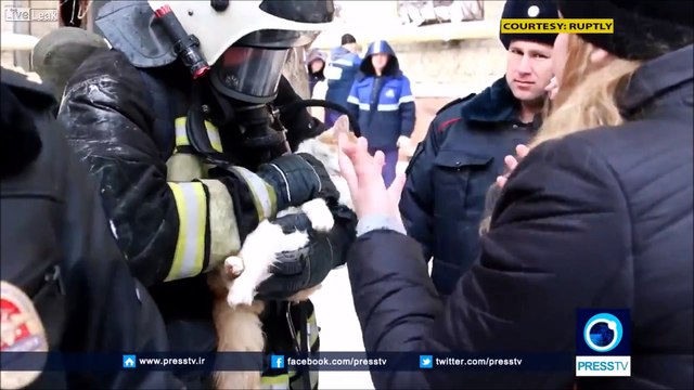 Des pompiers font un massage cardiaque pour réanimer ce chat