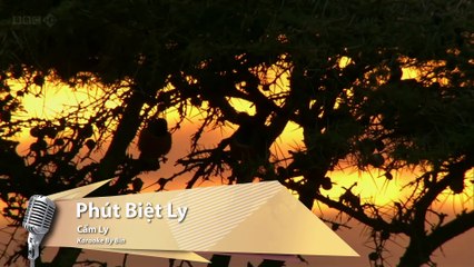 Phút Biệt Ly - Cẩm Ly