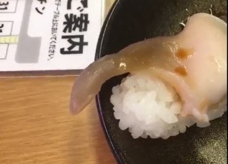 Alerte au restaurant : le sushi bouge dans l'assiette !