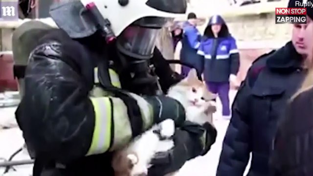 Russie : Des pompiers réaniment un chat après un incendie (vidéo)