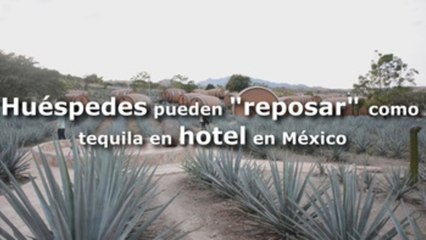 Huéspedes pueden "reposar" como tequila en hotel en México