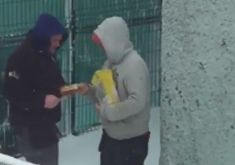 Shady 'Bread Dealers' Spotted as Beast From the East Pummels Ireland