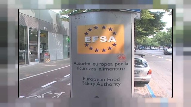 EFSA: tre pesticidi nocivi per le api