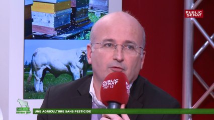Pesticides, « un problème majeur de santé publique » rappelle le sénateur Bernard Jomier