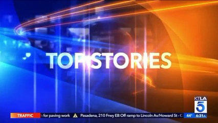 Dick's Sporting Goods to Stop Selling Assault-Style Rifles