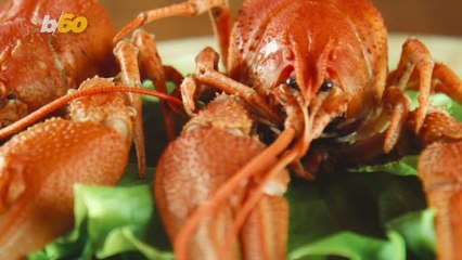 Bellagio Chef Caught Stealing Nearly $2,000 Worth of Lobster Tails, Police Say