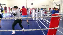 Milli boksörlerin kampı sona erdi - KASTAMONU