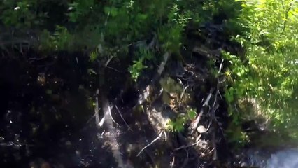 He saves his fallen friend in a fast (Canada)