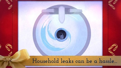 Plumber Douglas GA | (912) 384-3526