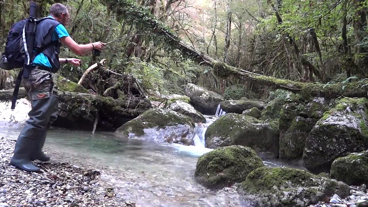 Les truites du Vercors en NAF