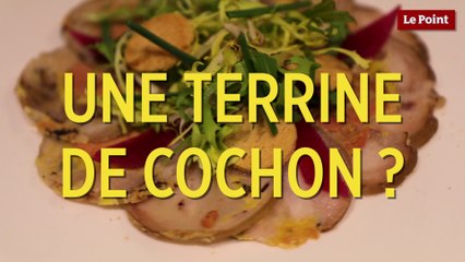 Accord mets et vins : la terrine de cochon et le côte-roannaise rouge