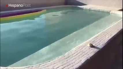 Así se enteraron estos amigos mexicanos que estaba temblando