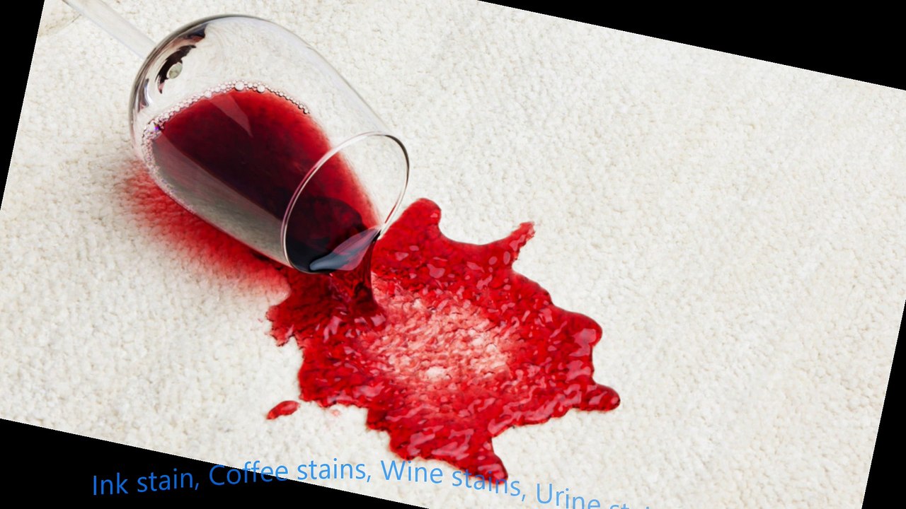 Calgary Carpet Pet Urine Stain Removal (2018 Guide) Oxy-Genie Calgary