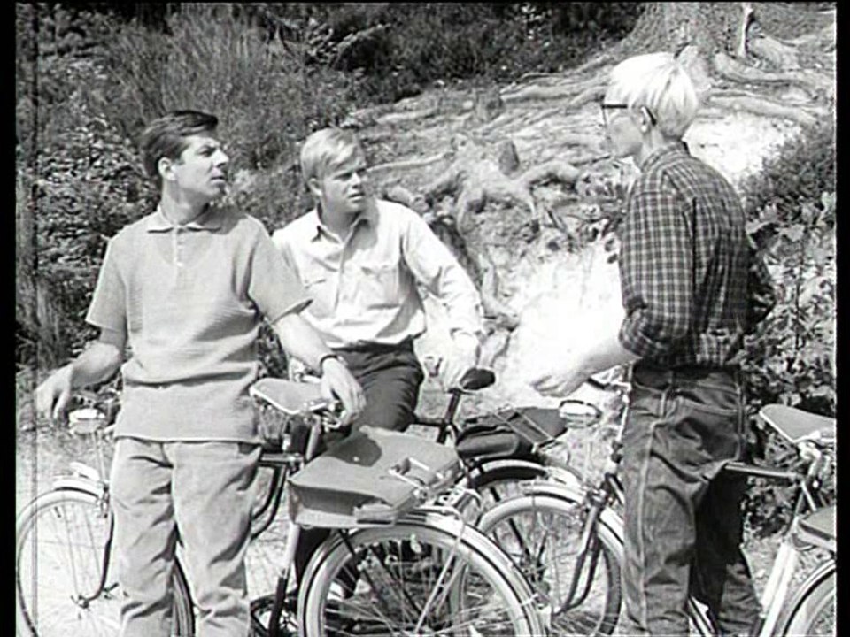 Alle meine Tiere - Der blaue Brief