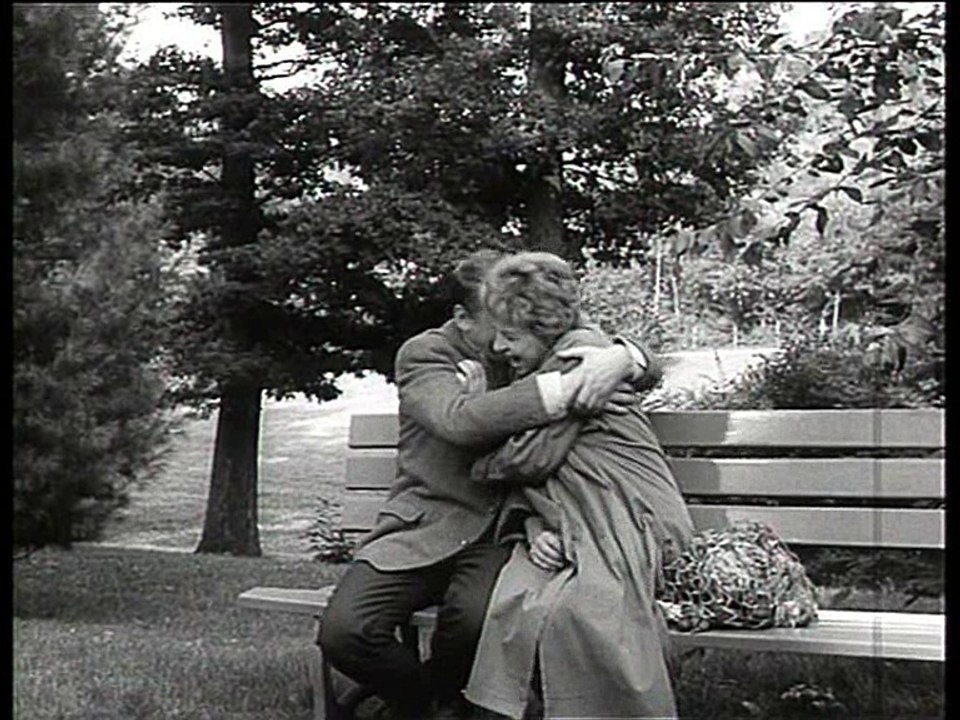 Alle meine Tiere - Die Kündigung